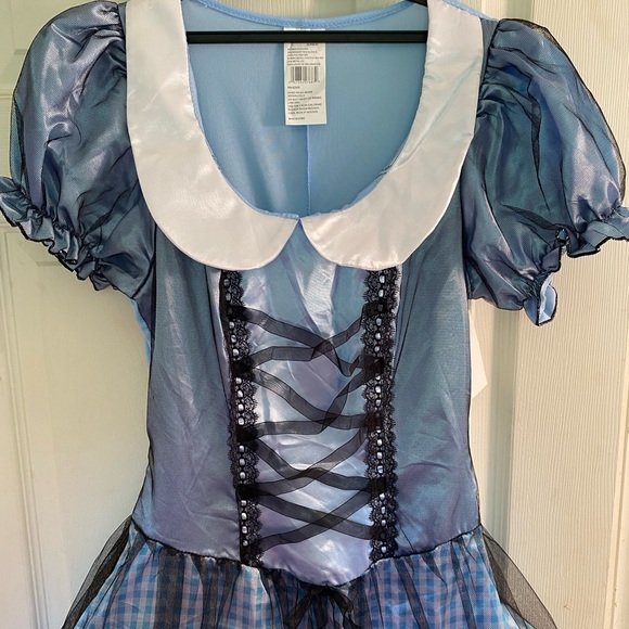 Wicked Dorothy Costume NWT (Fits Most) - Picture 2 of 7